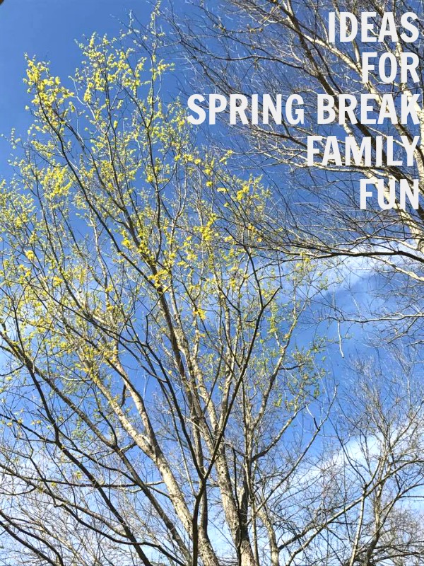 Ideas for Spring Break Family Fun